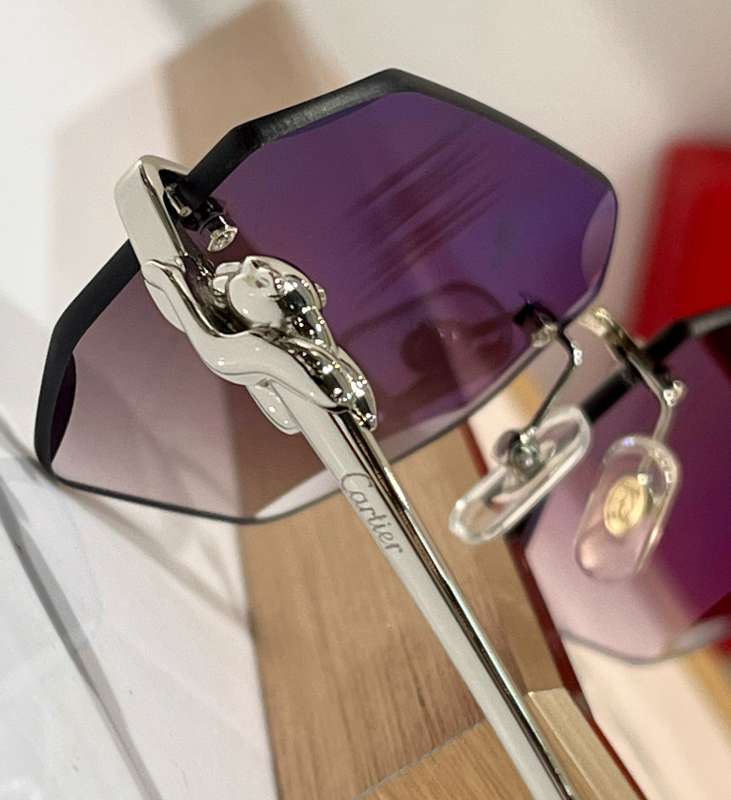 Picture of Cartier Sunglasses _SKUfw56642936fw